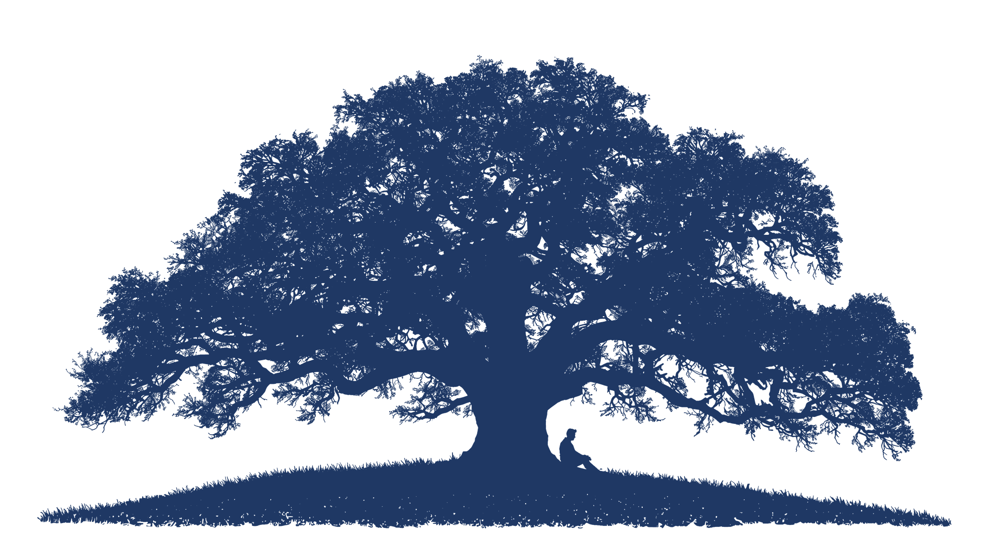 The Claude family oak